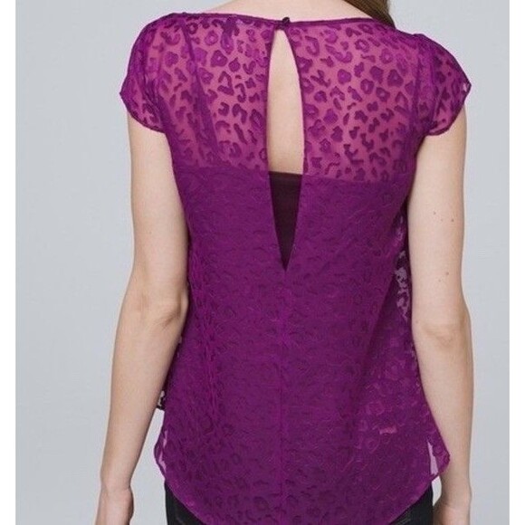 WHBM Top Large Women's Purple Sheer Leopard Print Burnout Shorts Sleeve Hi-Lo - Picture 3 of 10